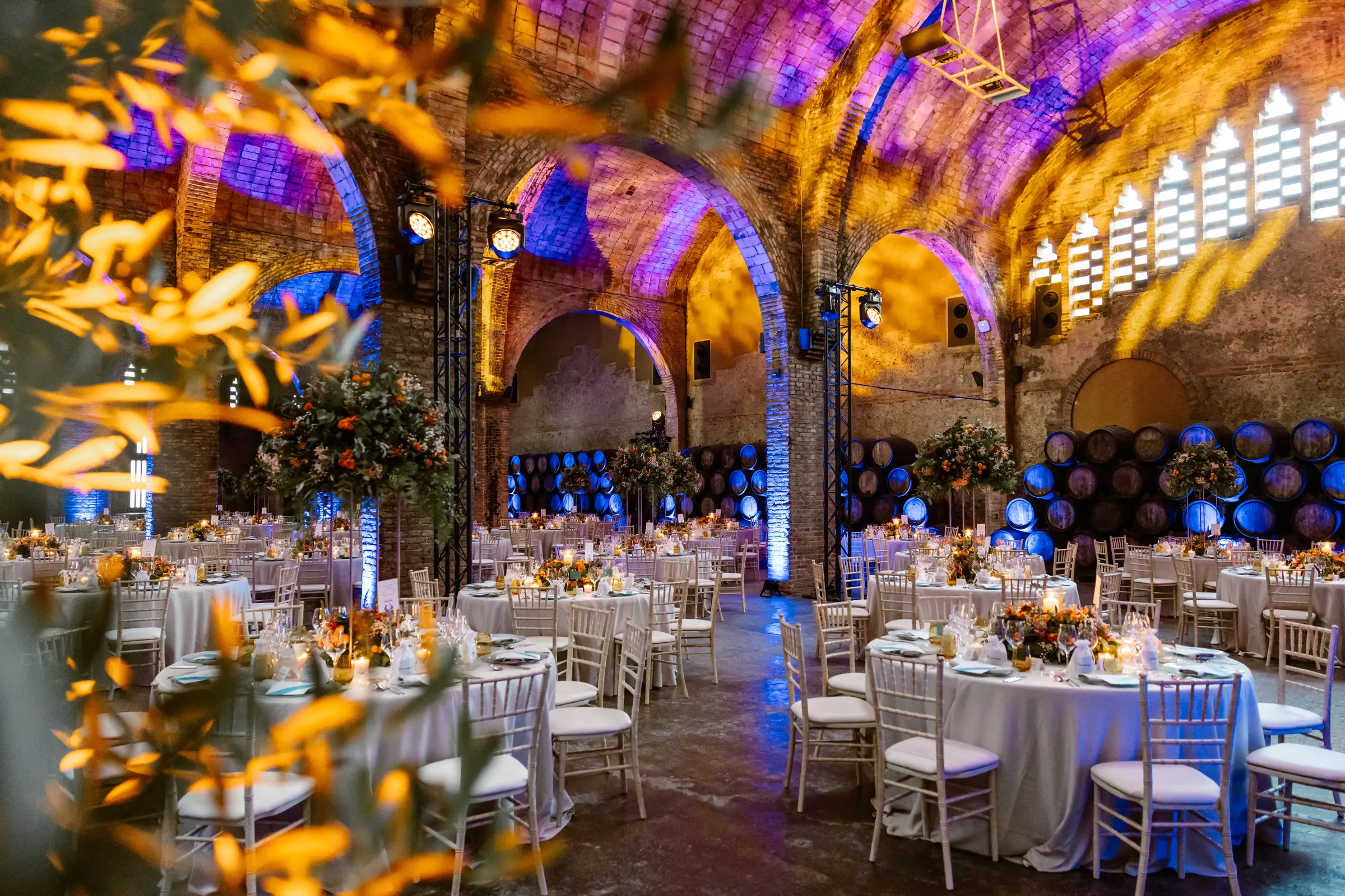 Caves Codorniu, a 30 min de Sitges