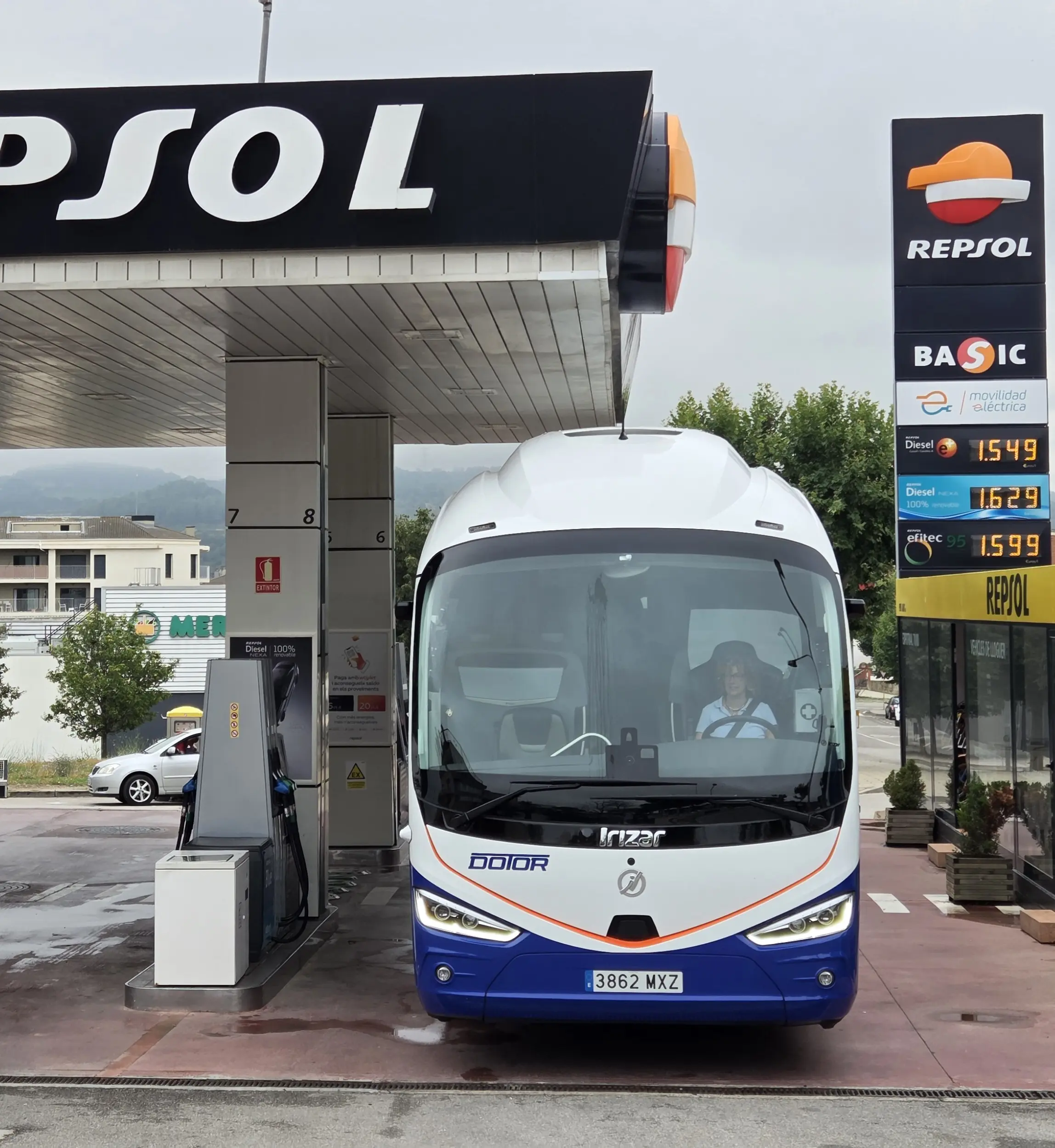 Autocares Dotor