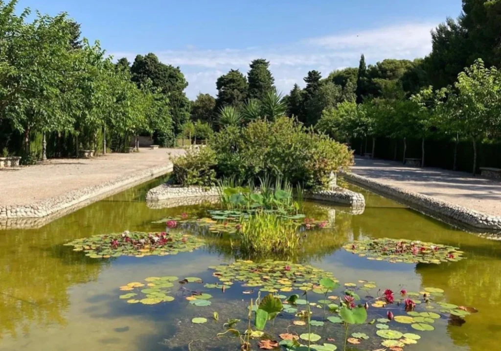 Pond with water lilies and aquatic plants in a Sitges botanical garden