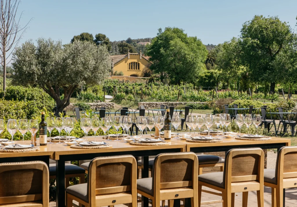 Long table set for lunch in the outdoor area of a winery surrounded by vineyards